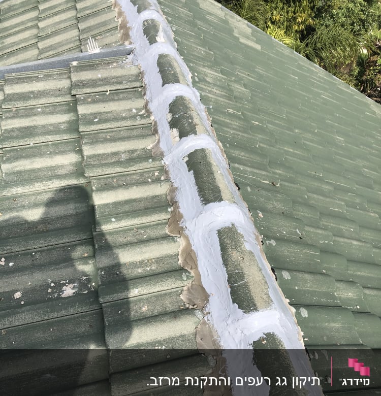 גג ירוק עם תיקוני איטום לבנים לאורך הרכס